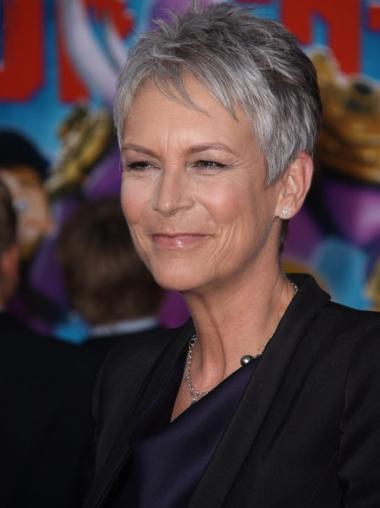 Trendy Capless Short Straight Grey And Black Wigs